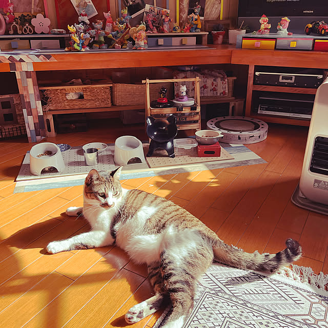 jijiさんの実例写真