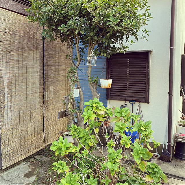 hanaさんの実例写真