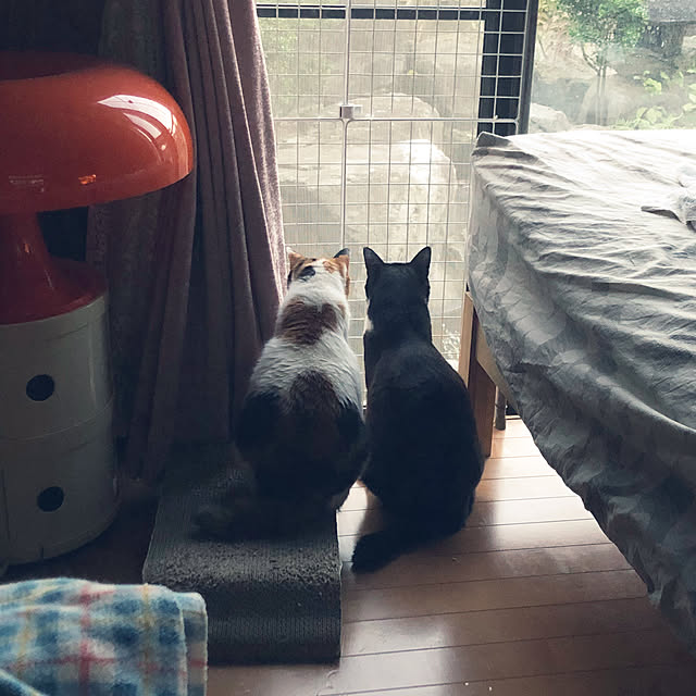kibidangotabetaiさんの実例写真