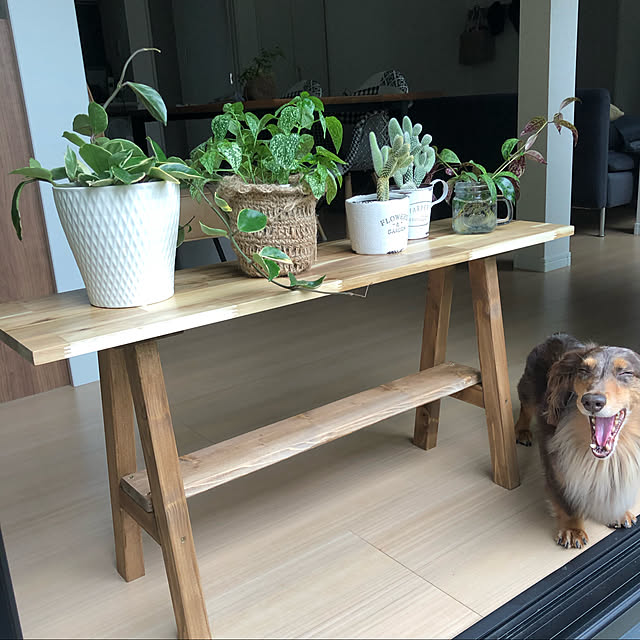 cocoaさんの実例写真