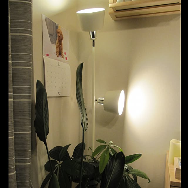chi-hiroさんの実例写真