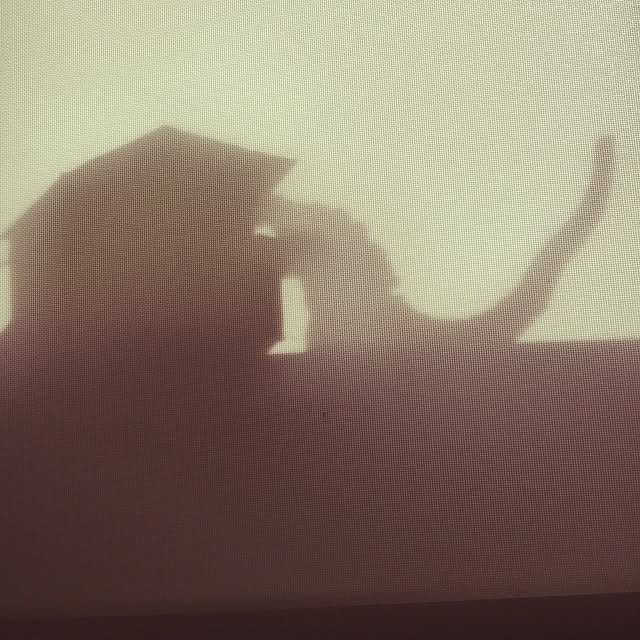 mihhyさんの実例写真