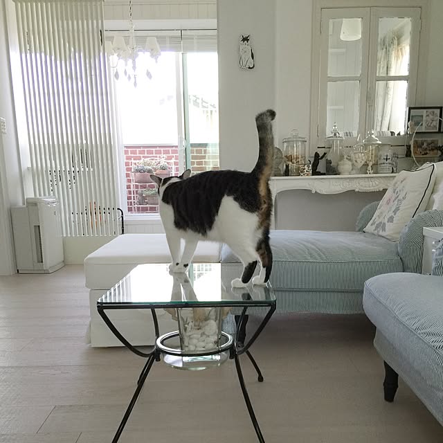 yuchiさんの実例写真