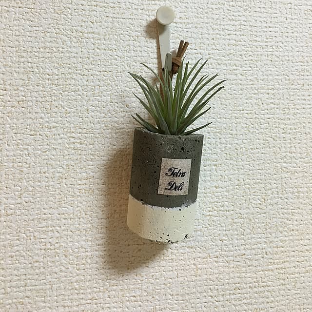 tetra163さんの実例写真