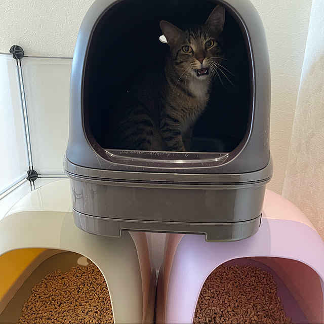 manekinekoさんの実例写真