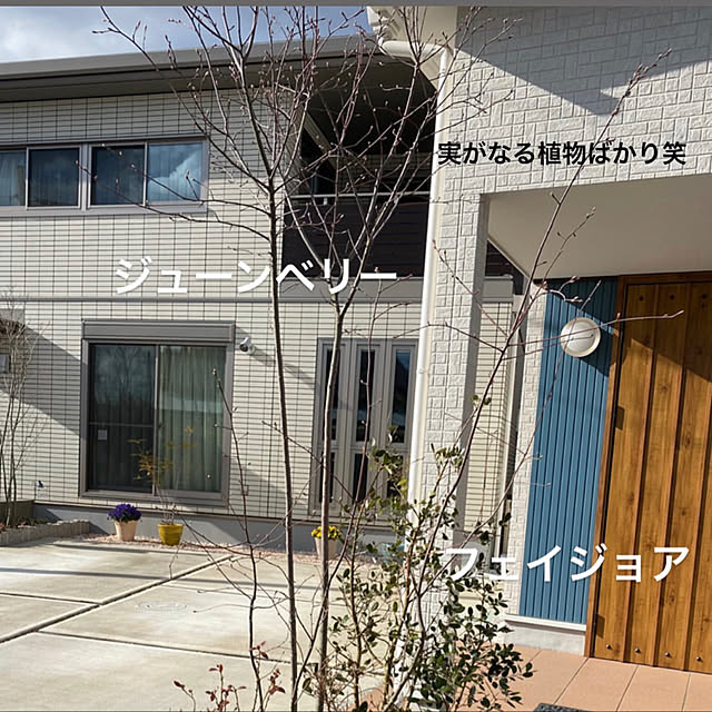 akizさんの実例写真