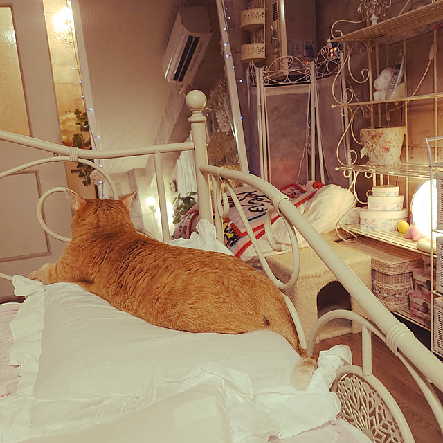 asuminさんの実例写真