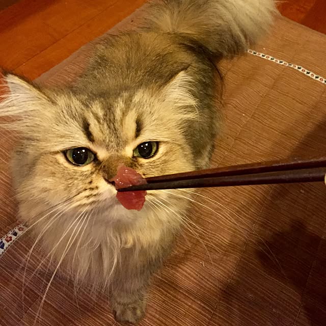 butachanさんの実例写真