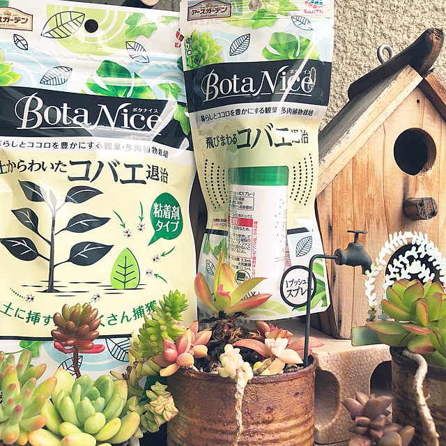 モニターレポート/モニター商品/モニター/巣箱/ロハスフェスタ大阪...などのインテリア実例 - 2021-05-15 15:52:26