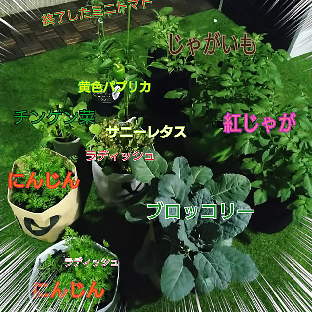 AYUMIさんの実例写真