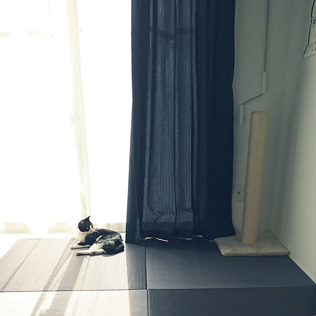 shiiiさんの実例写真