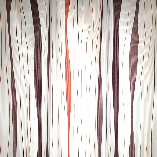 dicekbeetleさんの実例写真
