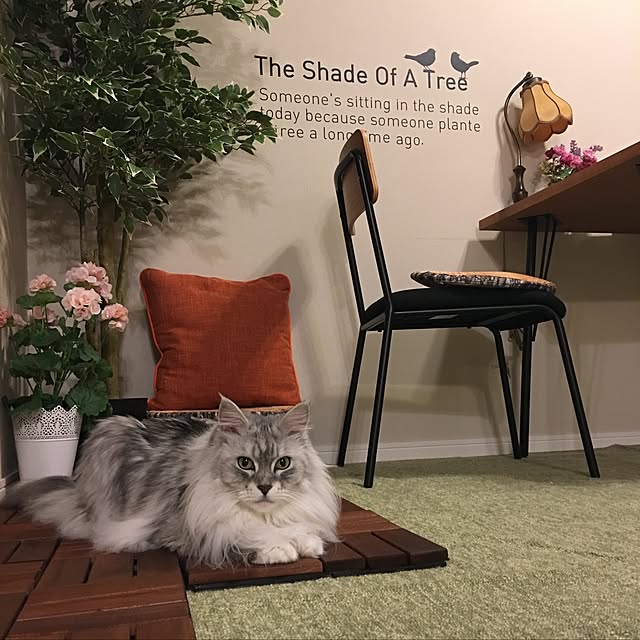 Chitoseさんの実例写真
