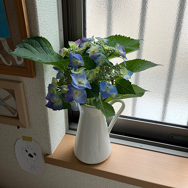 Karlyさんの実例写真