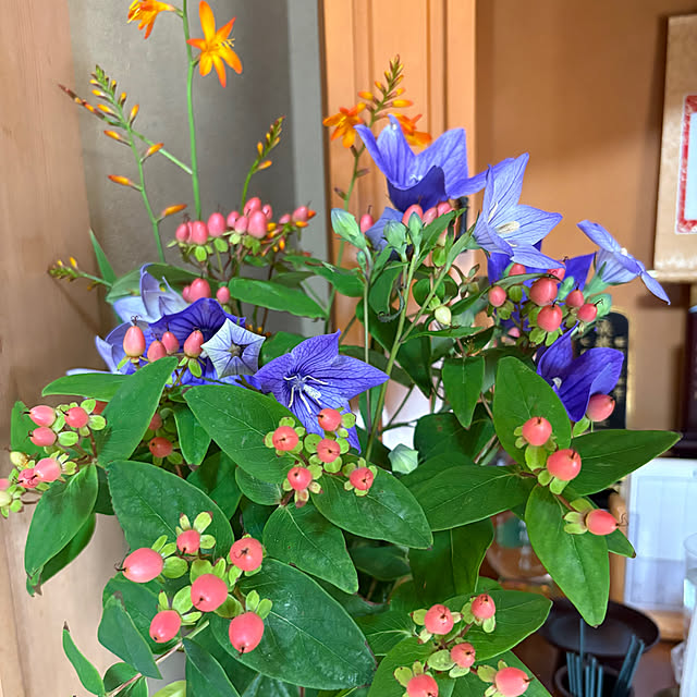 Nagakoさんの部屋