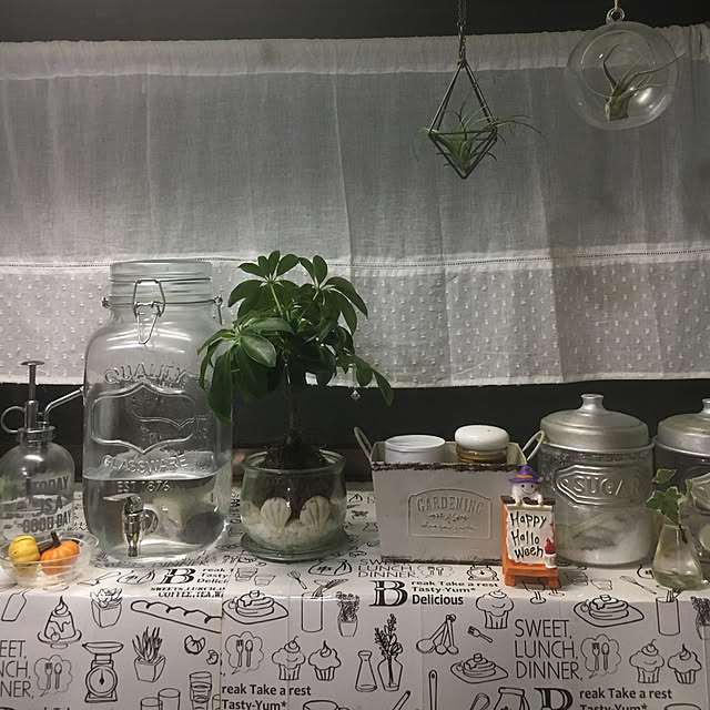 キッチン/セリア/salut!/観葉植物/雑貨のインテリア実例 - 2018-10-18 18:51:55