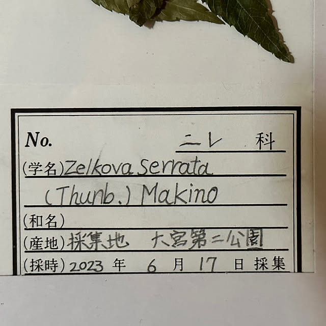 mizucchiさんの部屋
