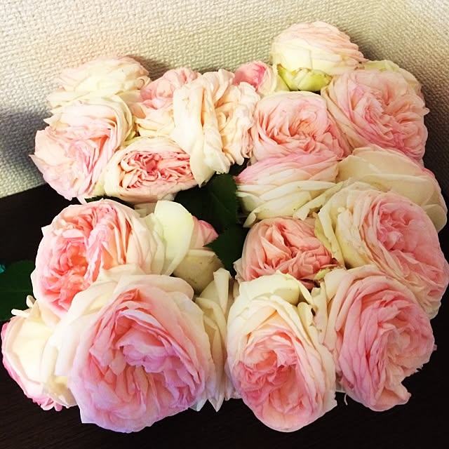 meiさんの実例写真