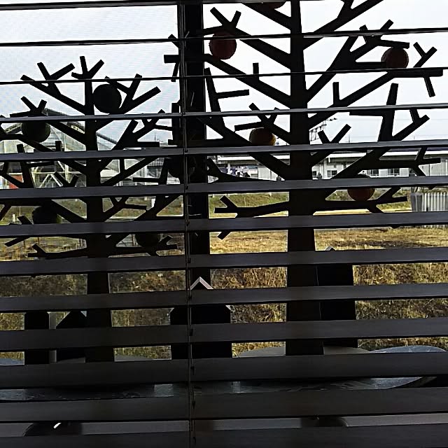 bikkeさんの実例写真