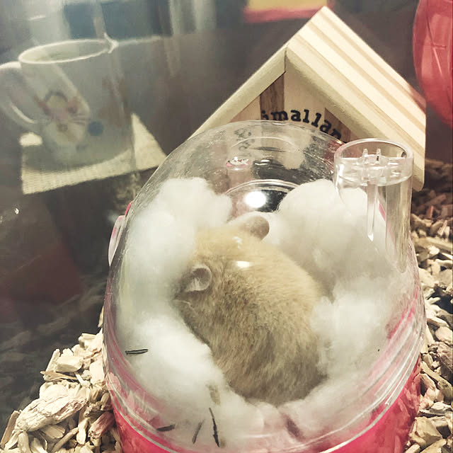 38さんの実例写真