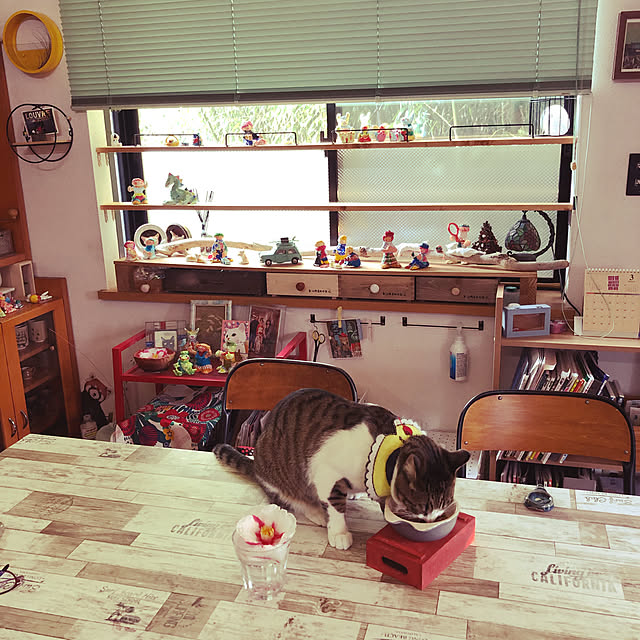 jijiさんの実例写真