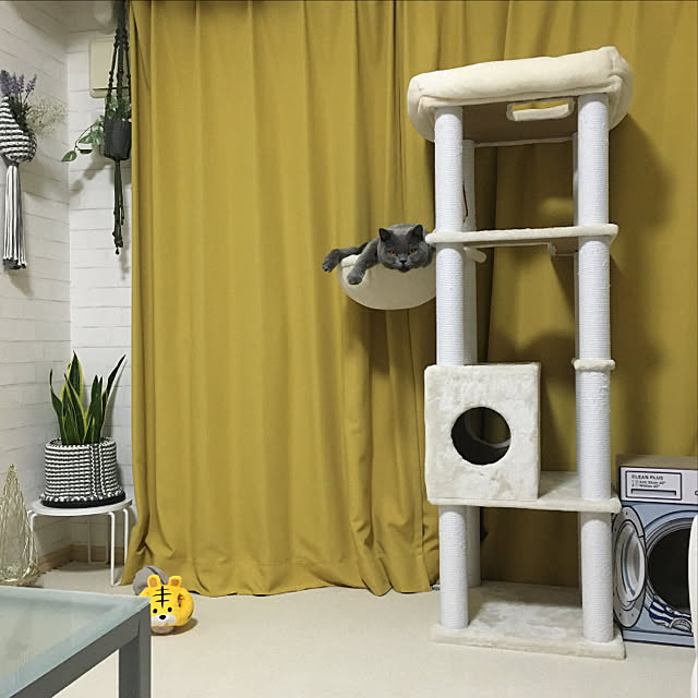 kittyさんの実例写真