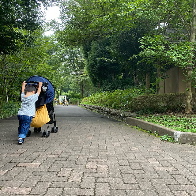 mikomaruさんの実例写真