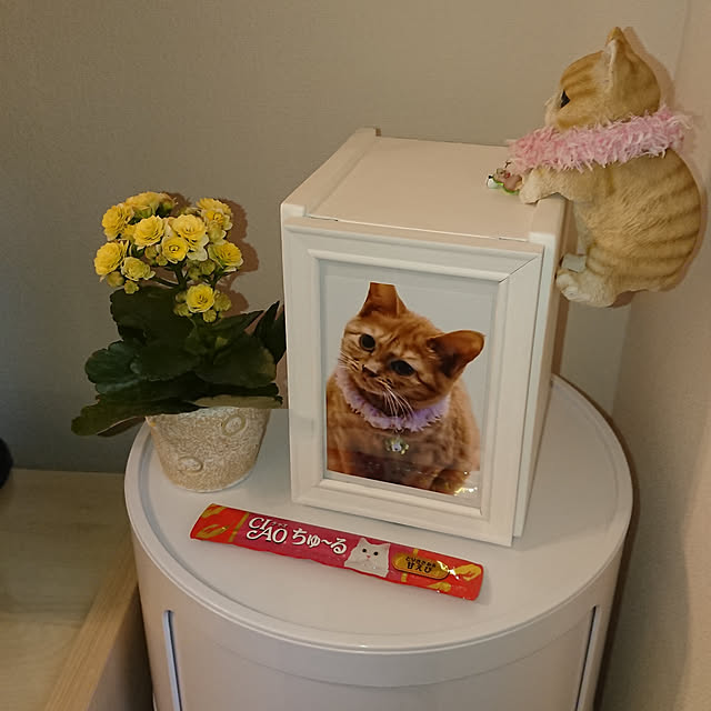 taka-kiさんの実例写真