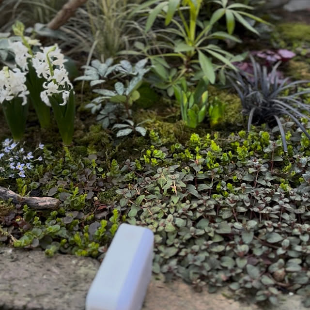 kyoko1124koさんの部屋