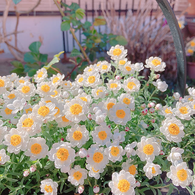 sophiaさんの部屋
