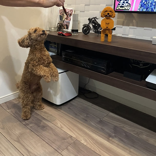 toshihiro323さんの実例写真