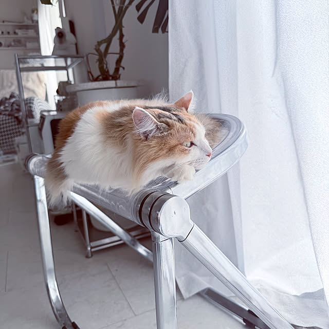 mya___kさんの部屋