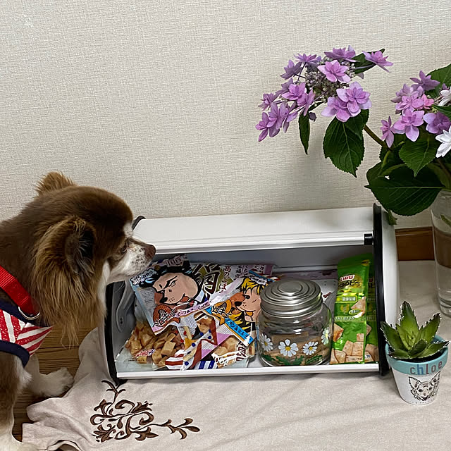 chIoeさんの部屋