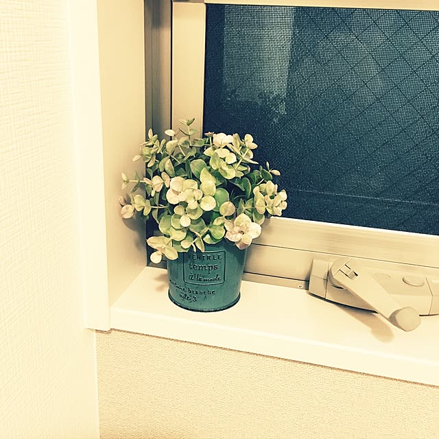 azuさんの実例写真