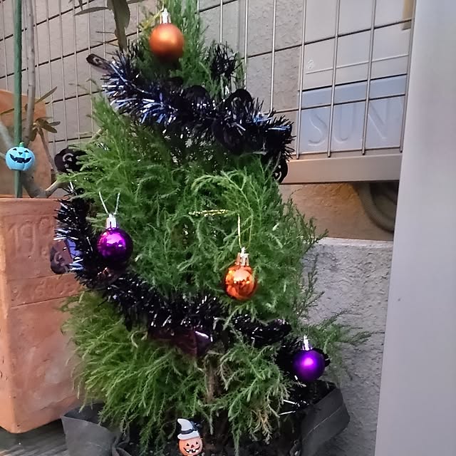 soccerkozouさんの実例写真