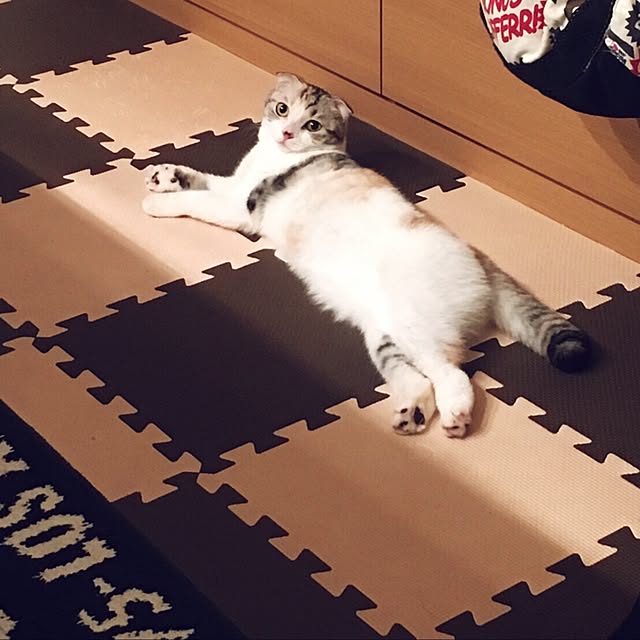 yokkochanさんの実例写真