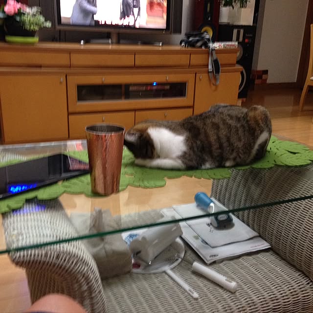 実例写真