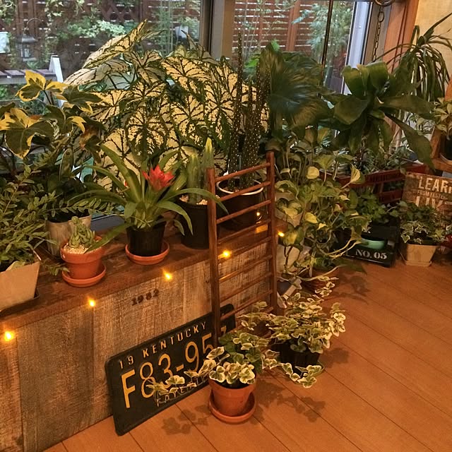 ANNAさんの実例写真