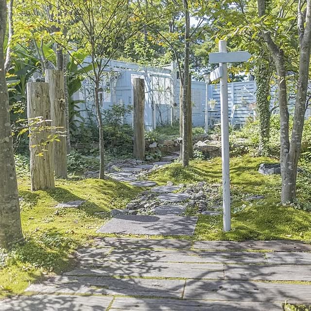 Aether_Gardenさんの実例写真