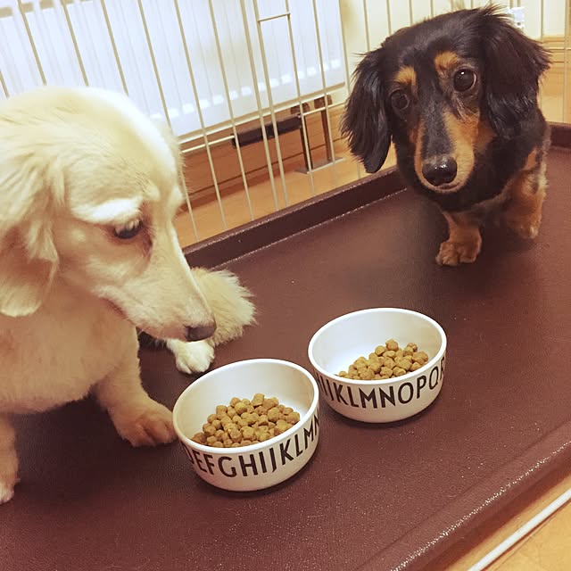 maimaiさんの実例写真