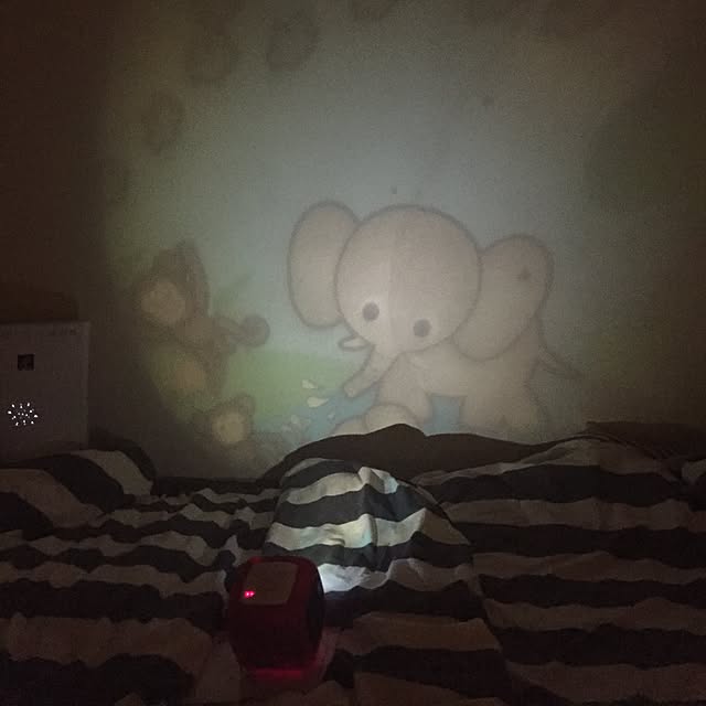 mamさんの実例写真