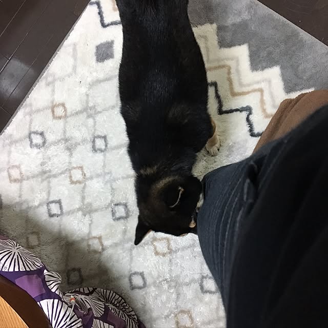 ayaさんの実例写真
