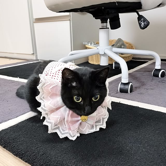 sakuraさんの部屋