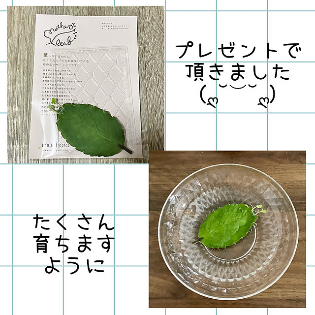 kagomamaさんの部屋