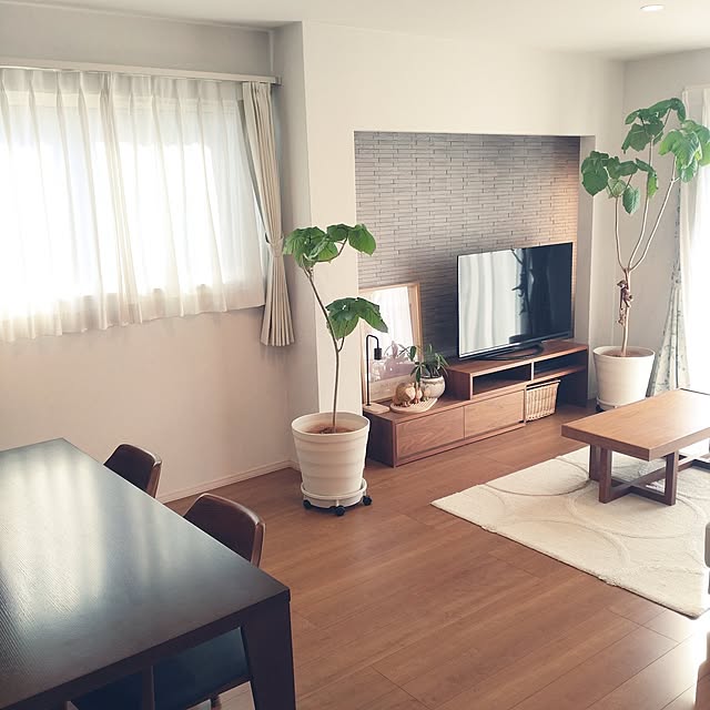 tan5さんの実例写真