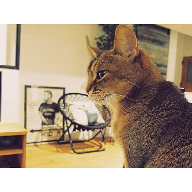 amigumiさんの実例写真
