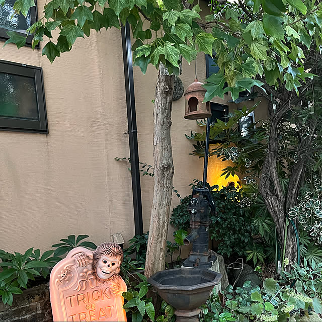 botanさんの実例写真