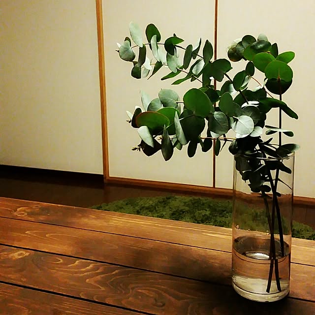 666667さんの実例写真