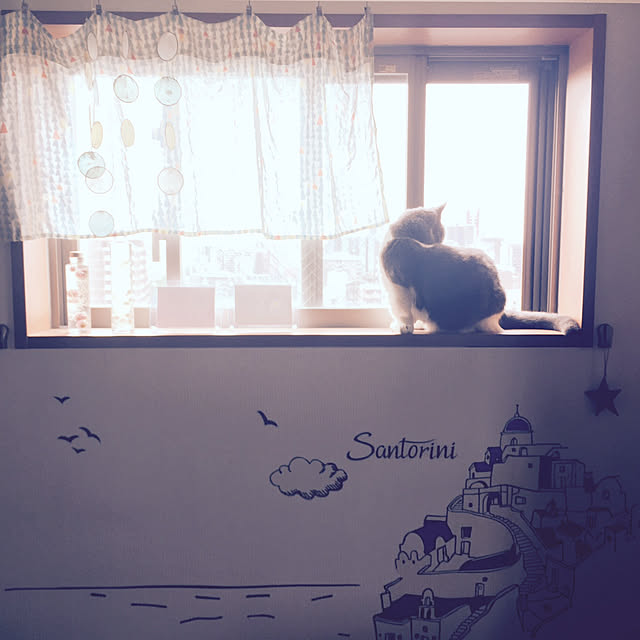 momoさんの実例写真