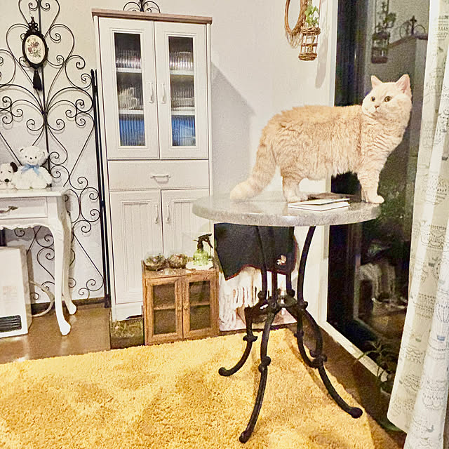 naokoさんの実例写真